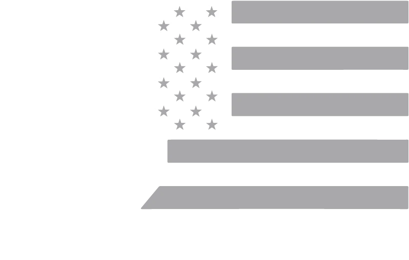 STS LOGO_WHITE GREY